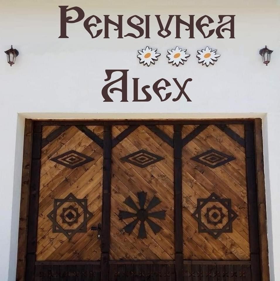 Marga Pensiunea Alex מראה חיצוני תמונה